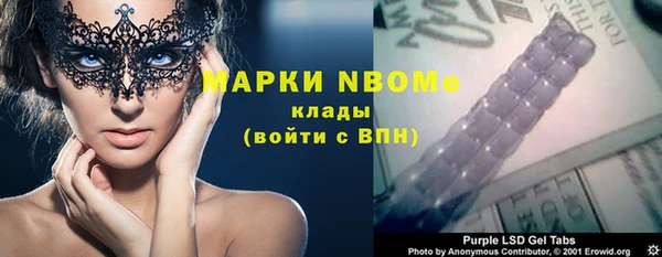 прущие грибы Белокуриха