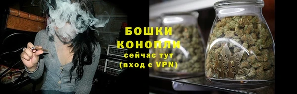прущие грибы Белокуриха