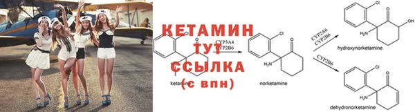 прущие грибы Белокуриха