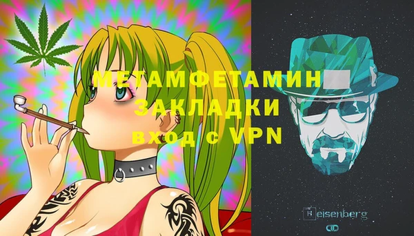 прущие грибы Белокуриха