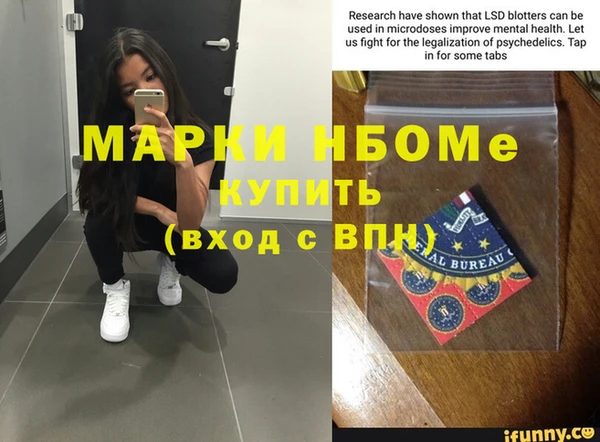 прущие грибы Белокуриха