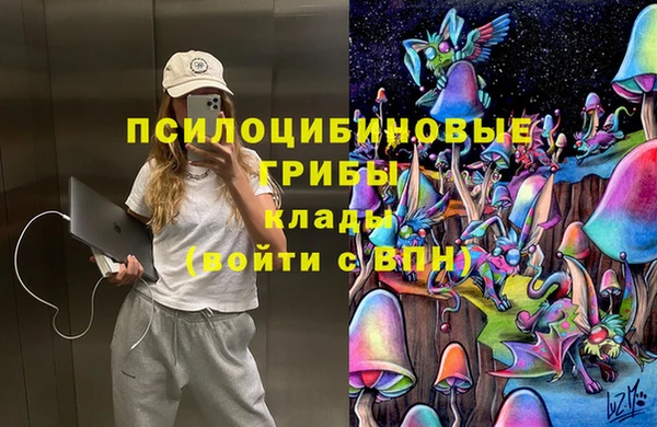 гидра Беломорск