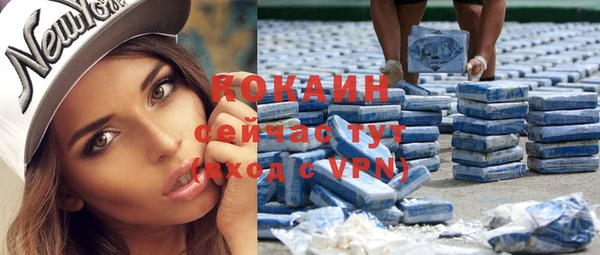 прущие грибы Белокуриха