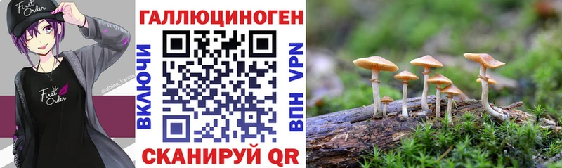 Псилоцибиновые грибы прущие грибы  Бузулук 