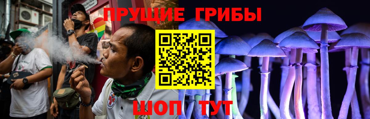 Псилоцибиновые грибы ЛСД  Вход с VPN  Галлюциногенные грибы Psilocybine cubensis  Бузулук 